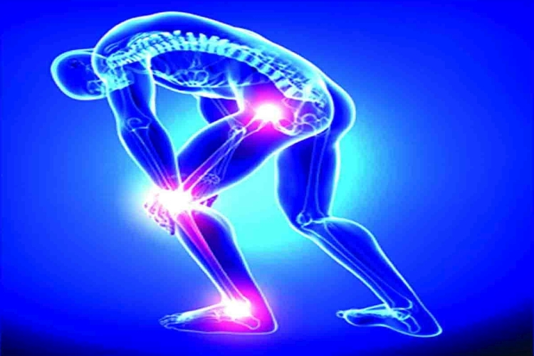 Orthopaedic & Joint Replacement